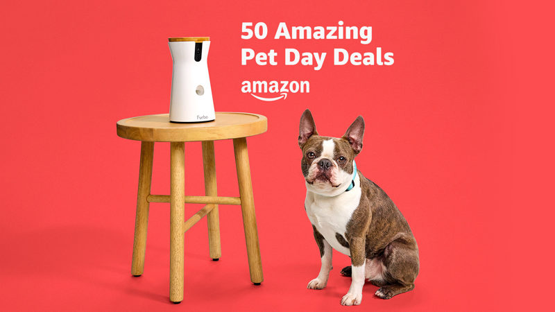 Amazon Pet Day 2024 50 of the best deals: Barkbox, Furbo, Purina
