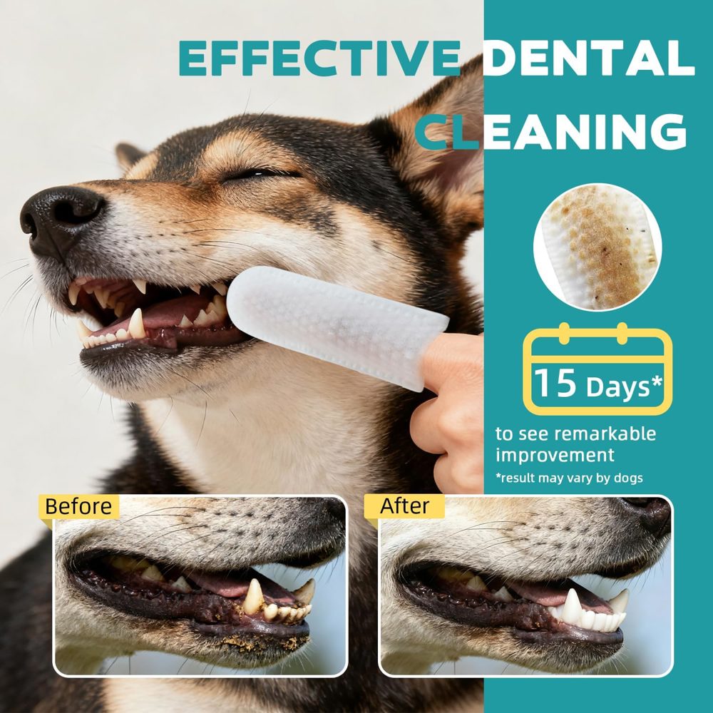 🦷 These No-Rinse Finger Wipes Clean Your Dog’s Teeth in Seconds — Without a Toothbrush