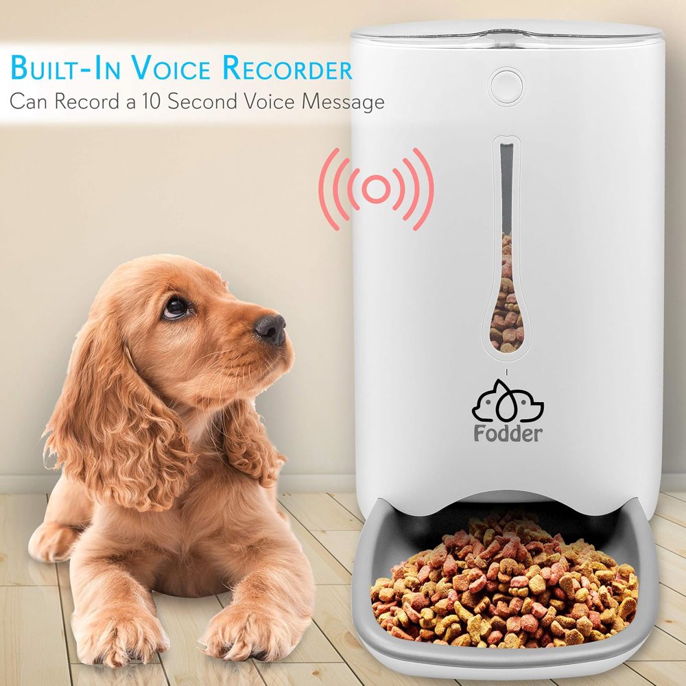 The Feeder That Feeds Your Pet AND Talks to Them When You're Gone