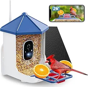 Solareye Smart Bird Feeder With 2K Camera and AI Bird Identification Grandkids Will Love