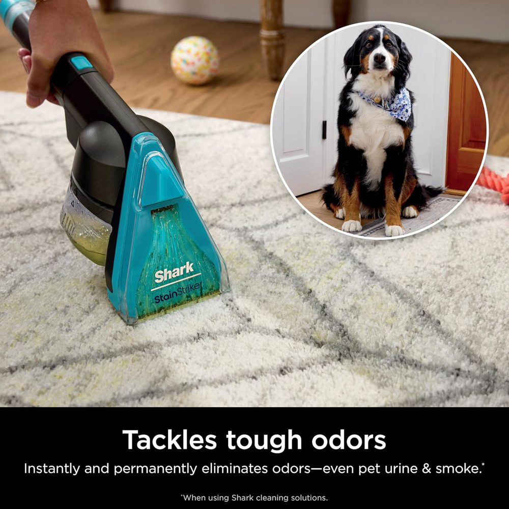 Pet Hair & Carpet Stains? This Power Cleaner Nukes the Mess in Minutes