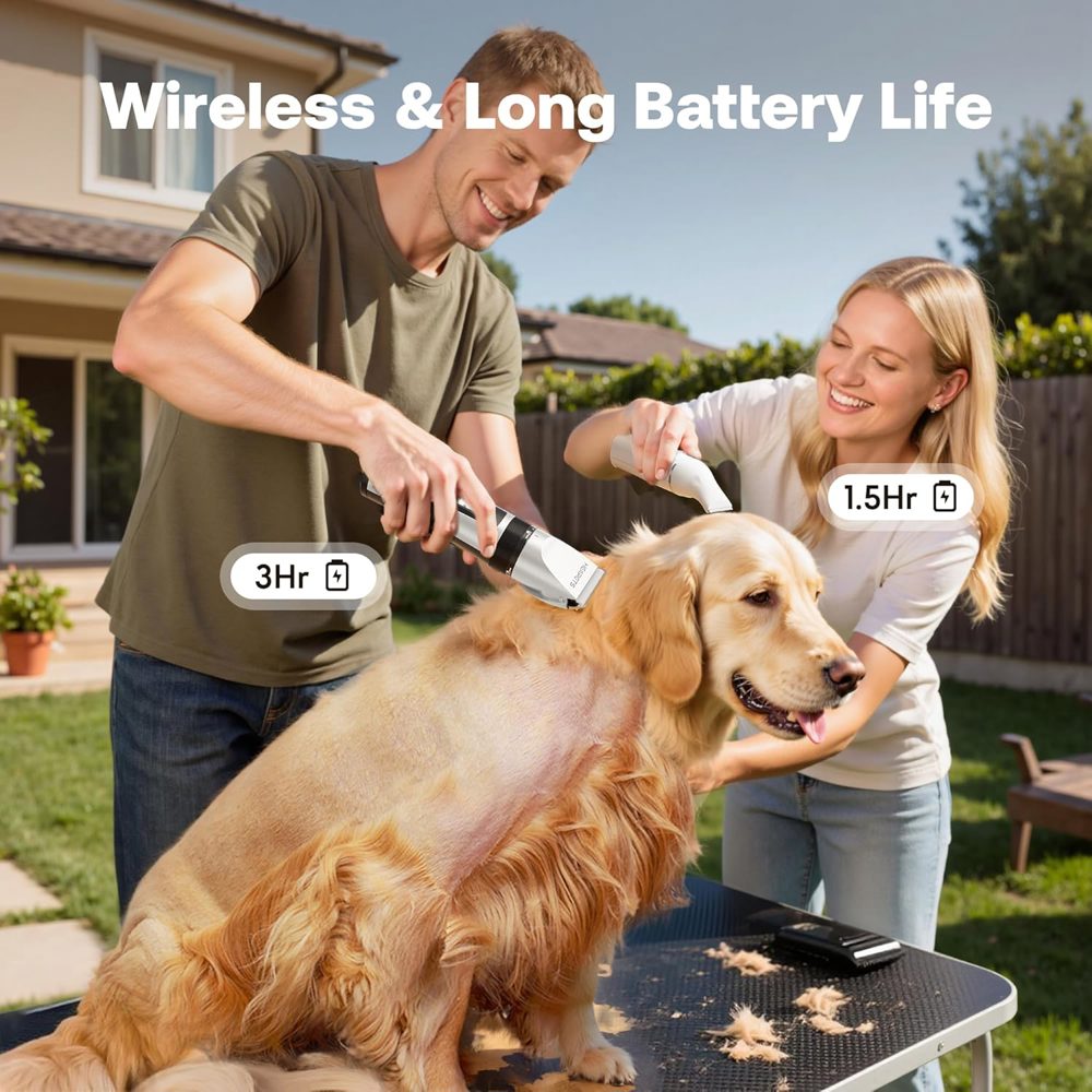 Turn Your Home Into a Pet Salon (Without the Salon Prices)